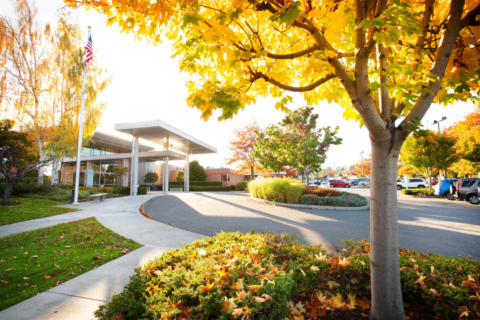 Main entrance of hospital with sun peeking through fall foliage.