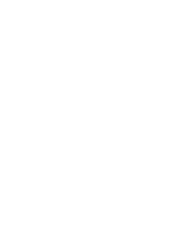 DNV logo in white