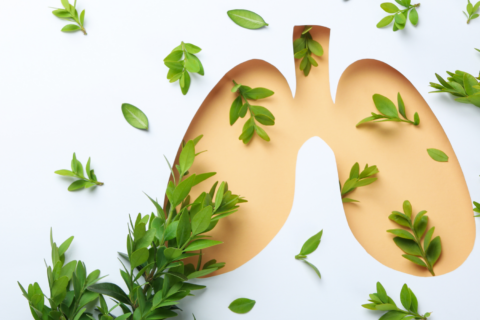 Lung graphic with blue background and green leaves.