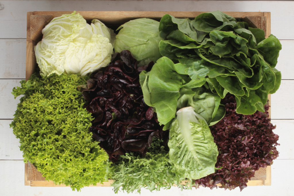 Wooden box filled with a variety of lettuce