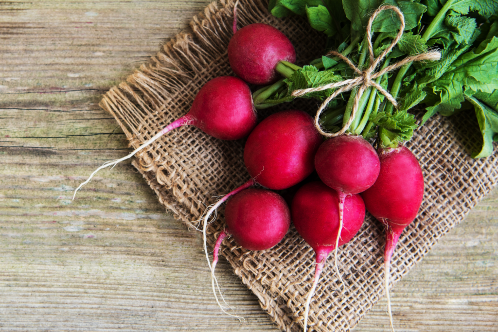 A bunch of radishes on table tied together with string