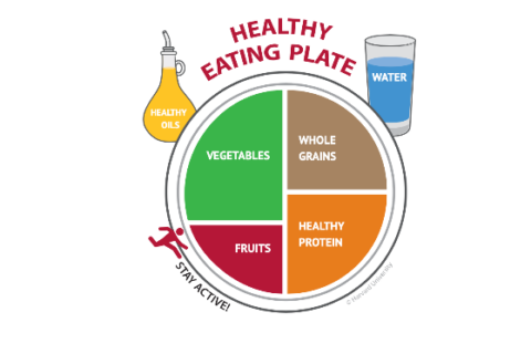 diagram of what a healthy plate should look like at meals