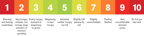 diagram of the hunger scale 