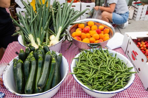 Zucchini, green beans, apricots and green onions on a checkered table cloth.