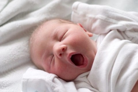 Newborn baby yawning.